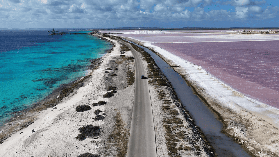 Pink lakes 