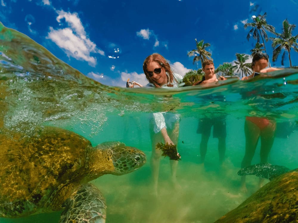 Snorkeling on Bonaire - Why It Should Be On Your Bucket List - Caribe ...