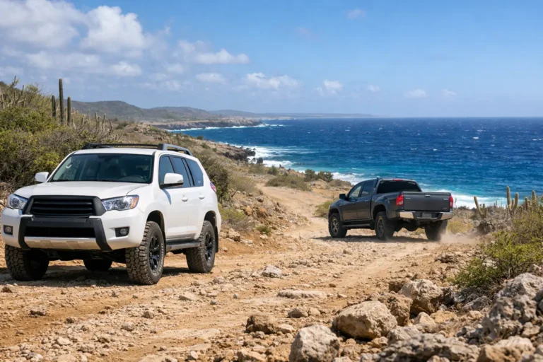 Best Vehicles for Bonaire Rough Roads