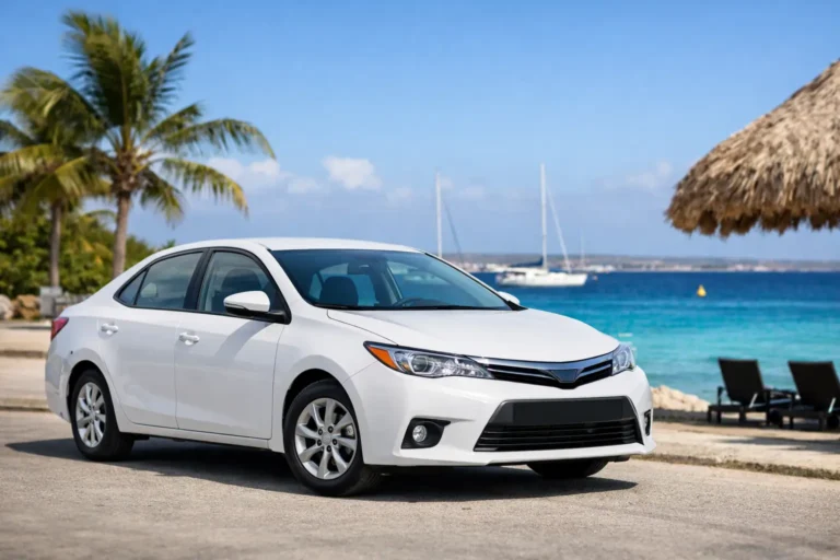 How to Choose a Bonaire Rental Sedan