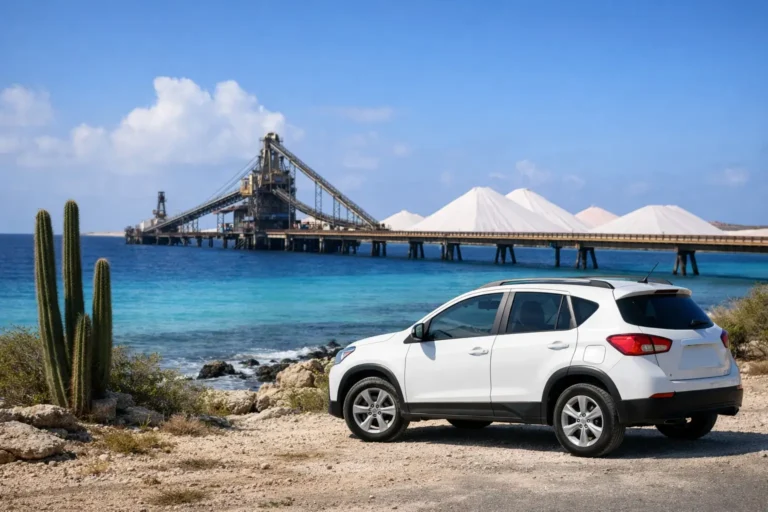 Bonaire Rental Car for Salt Pier Visit